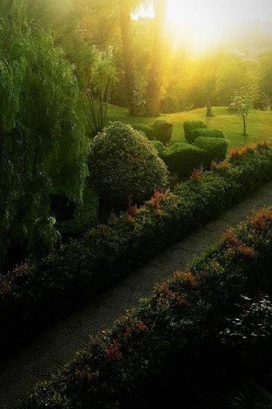 Tenuta Tropeano Santa Domenica  Dış mekan fotoğraf
